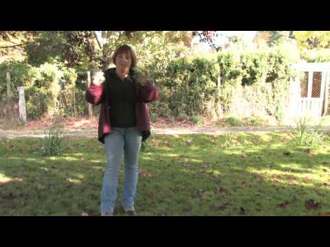 About Plants & Gardens : About Products to Kill Crabgrass