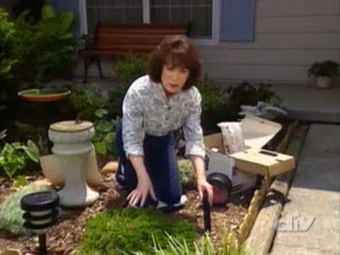 Solar Landscape Lighting